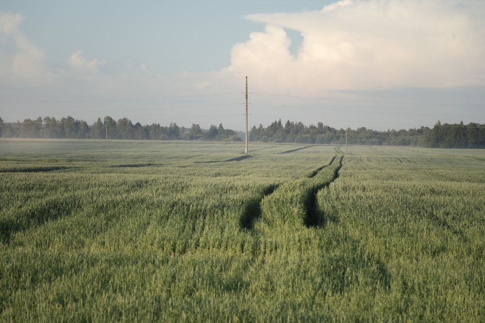 Photograph by Sergey Belov