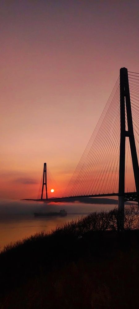 Фотография автора Анастасия Большакова
