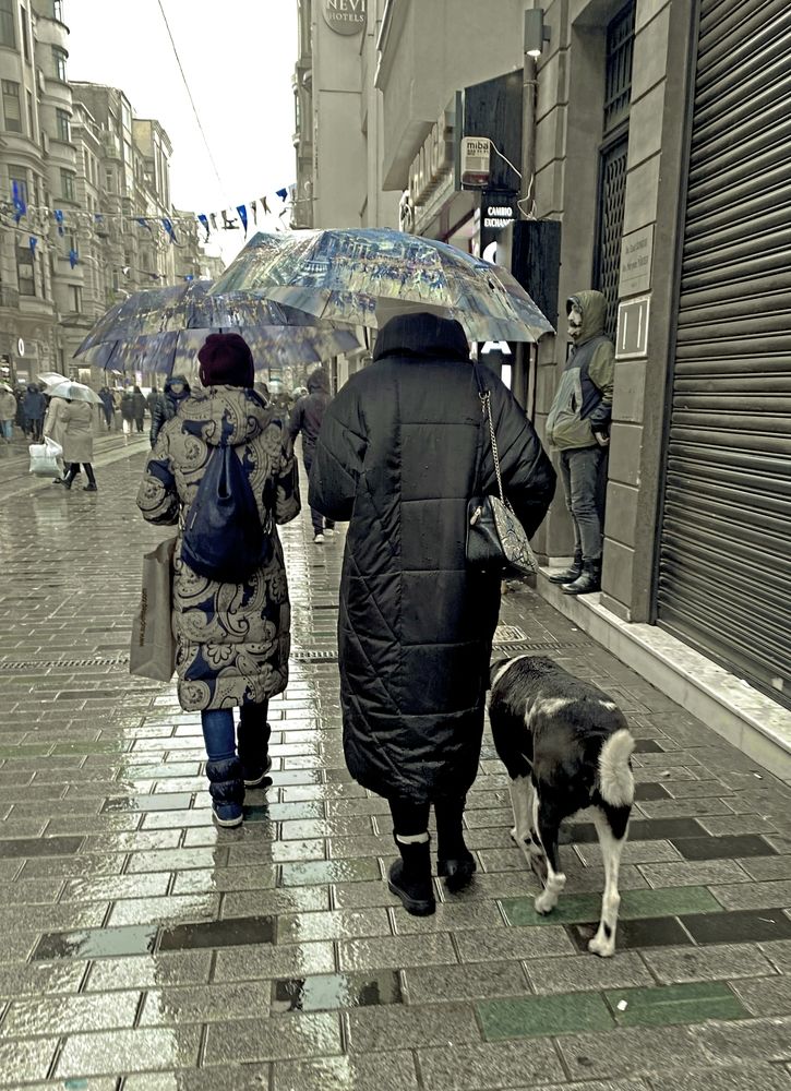 Photograph by Мария Якубовская