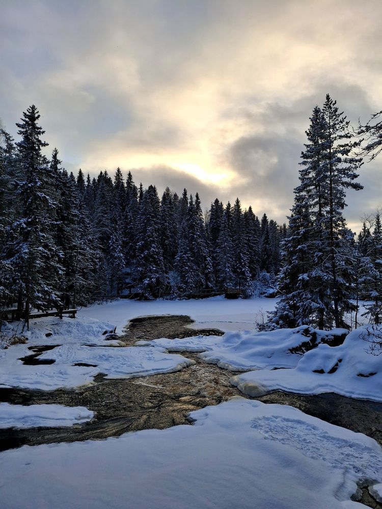 Photograph by Alekseev Andrey