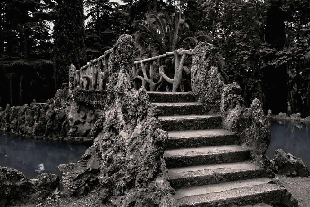 Photograph by Aleksandr Larionov