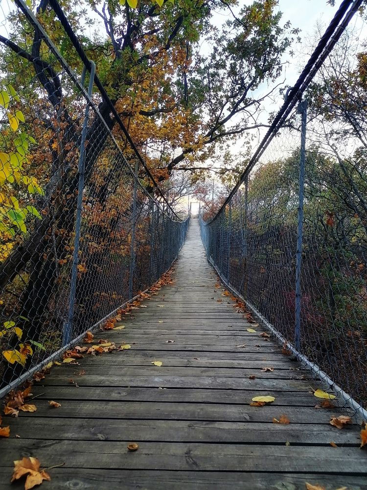 Photograph by Анжелика