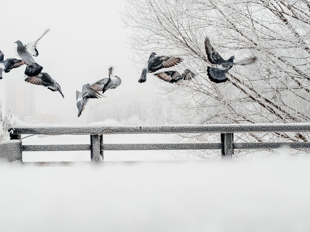 Photograph by Илья Цымбал