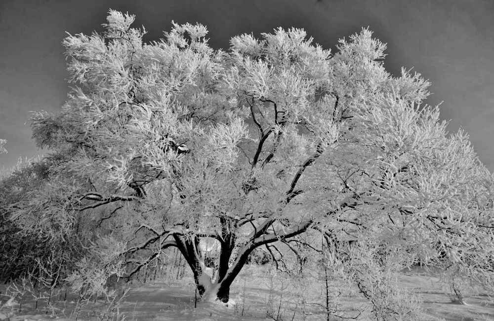 Photograph by Павел Васильев