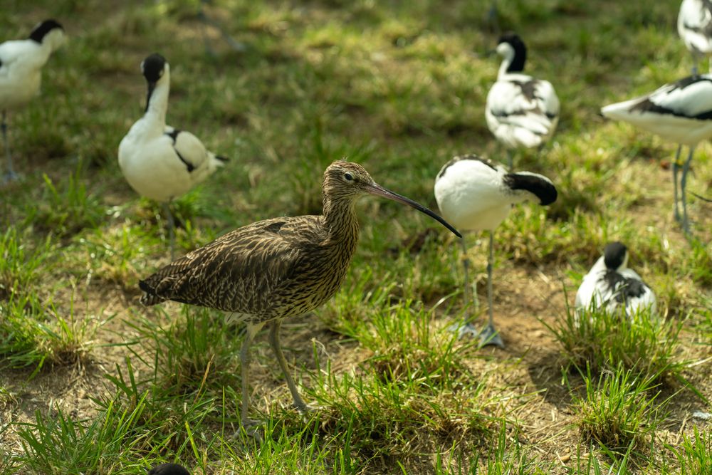 Photograph by Галина Искандарова