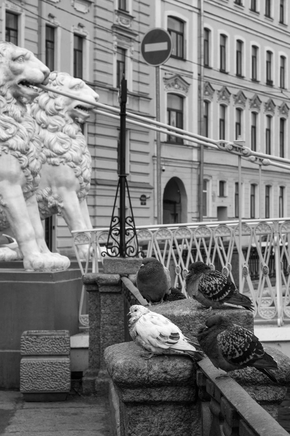 Photo #13236159