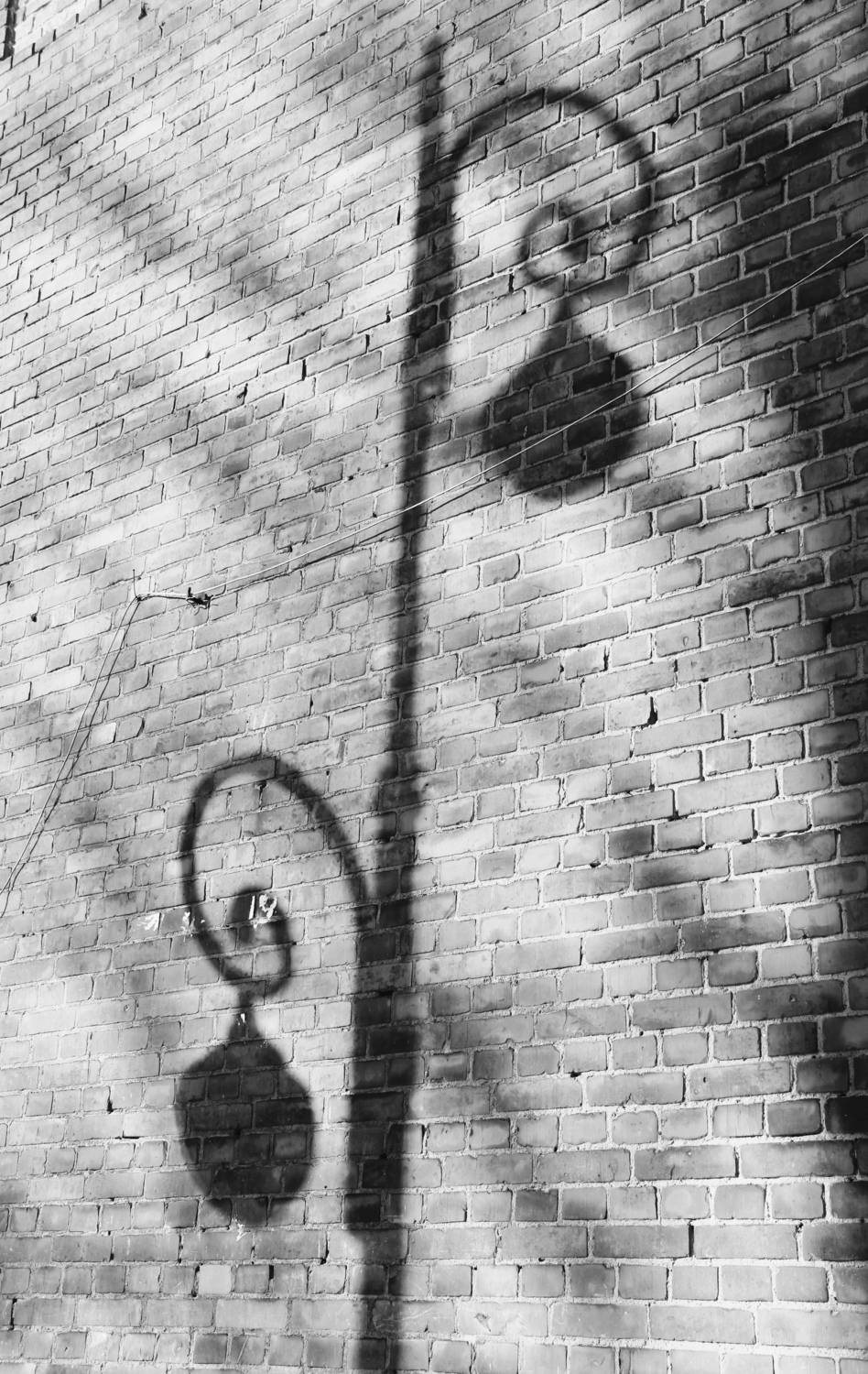 Фотография #13236170