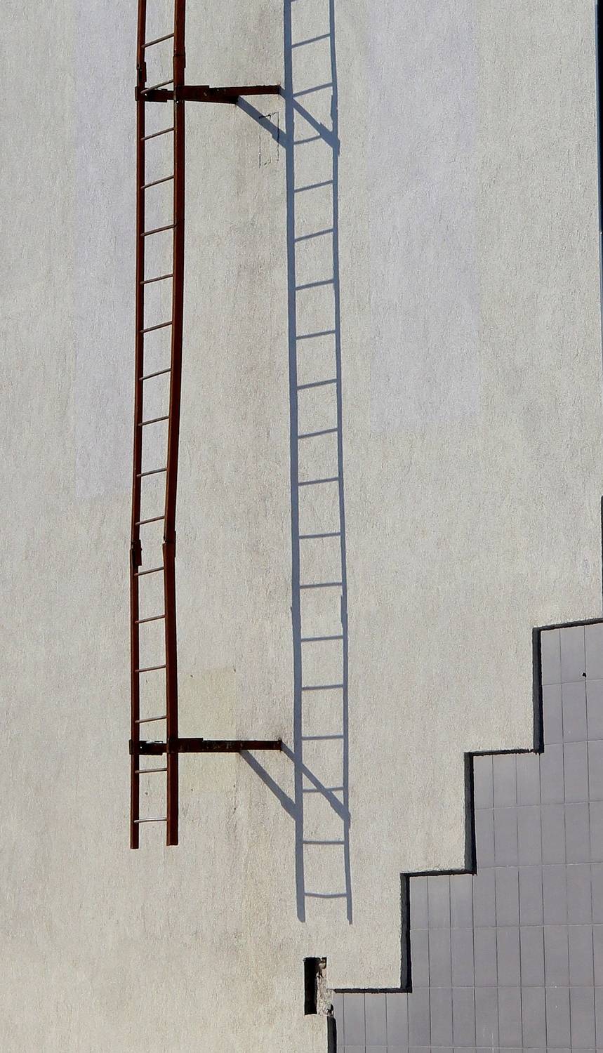 Фотография #13236171