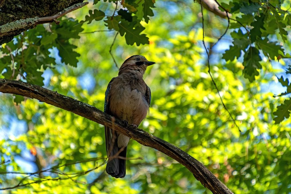 Photograph by Михаил Косолапов