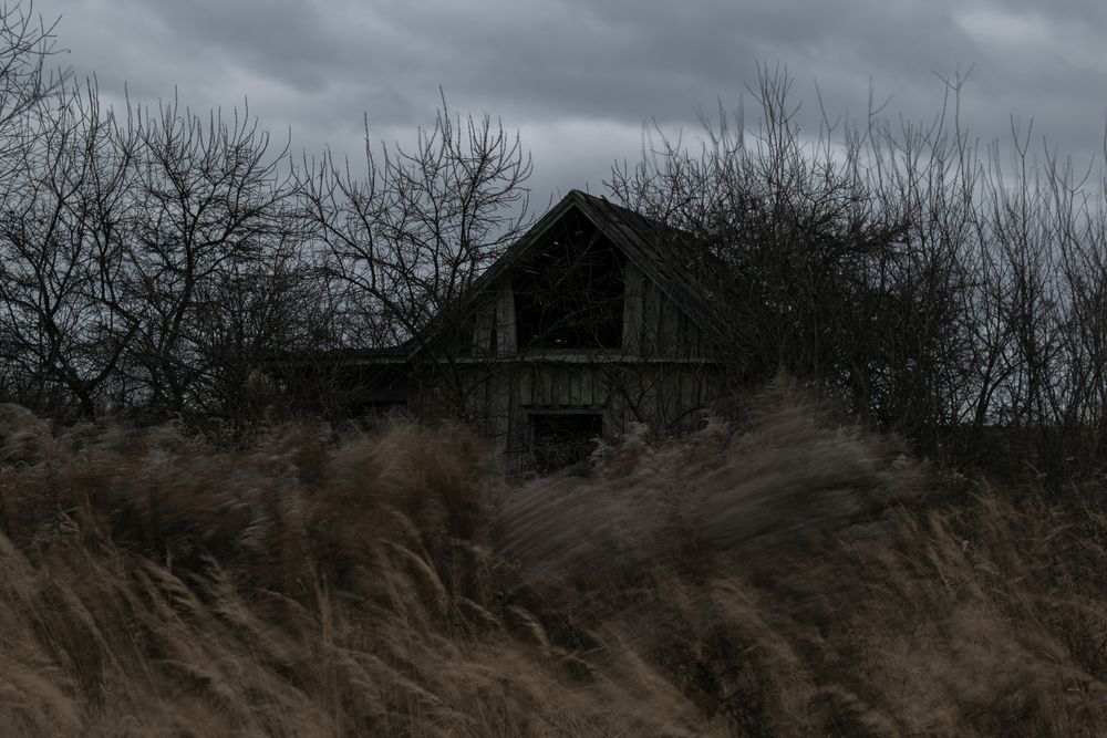 Photo #13236217