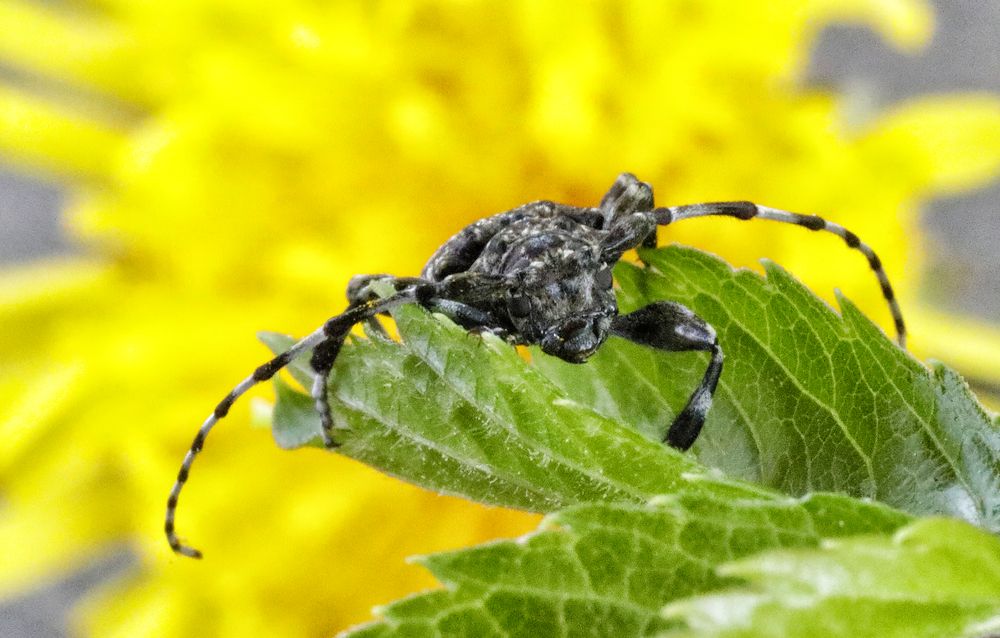 Photograph by Олег С