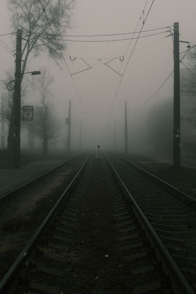 Photo #13236238