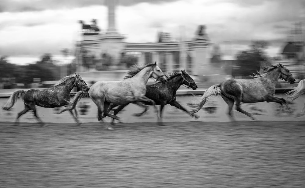 Photograph by Yulia Stepanova