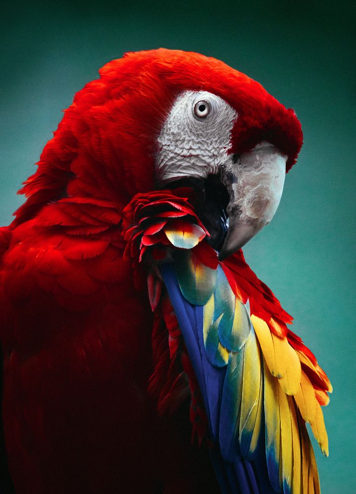 Photograph by Андрей Лободин