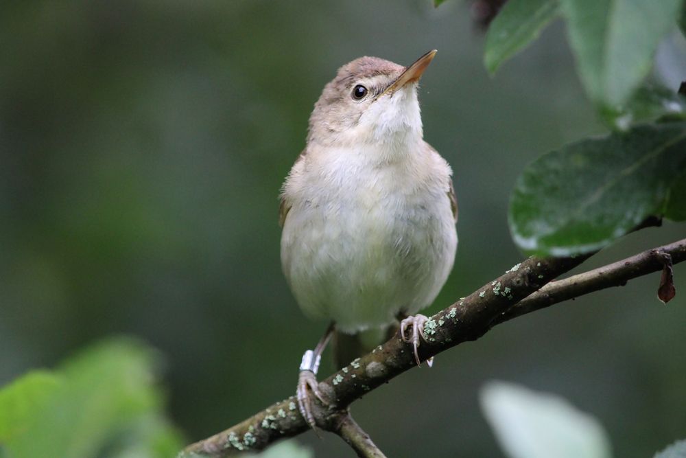 Photograph by Полина Зайцева