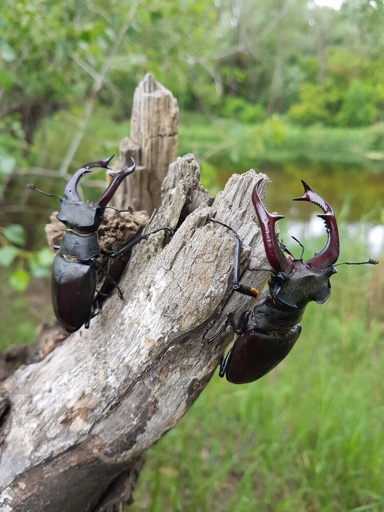 Photograph by Ольга Переходнова