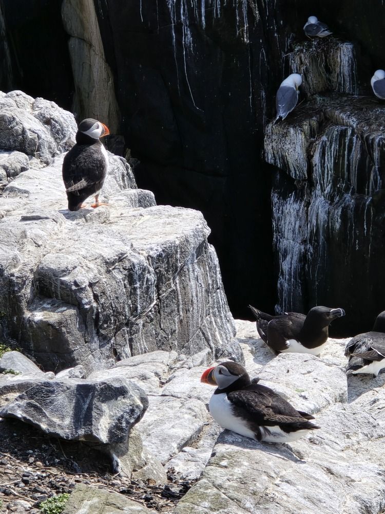 Photograph by Ekaterina Kazarez