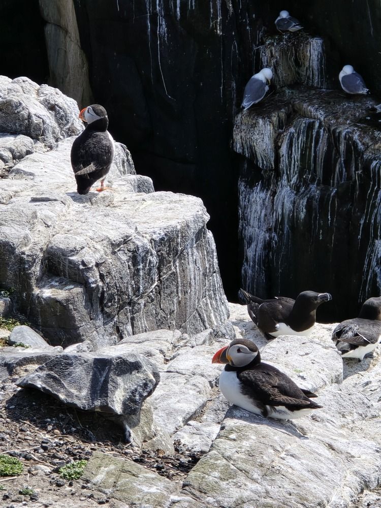 Photograph by Ekaterina Kazarez