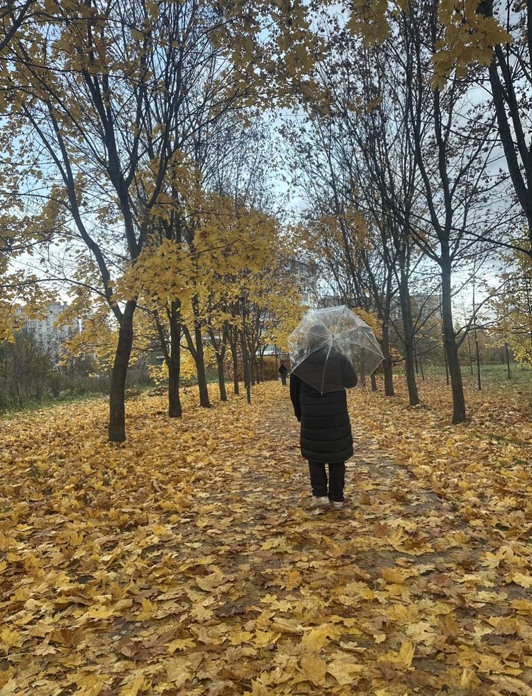 Фотография автора Людмила Цигипова