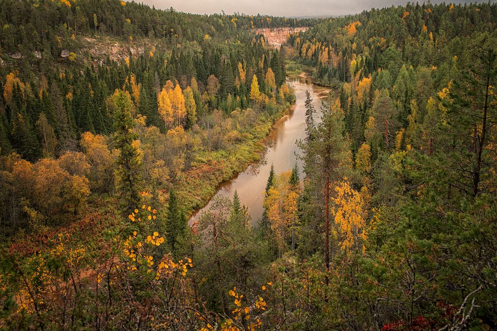 Photograph by Марина Григорьева