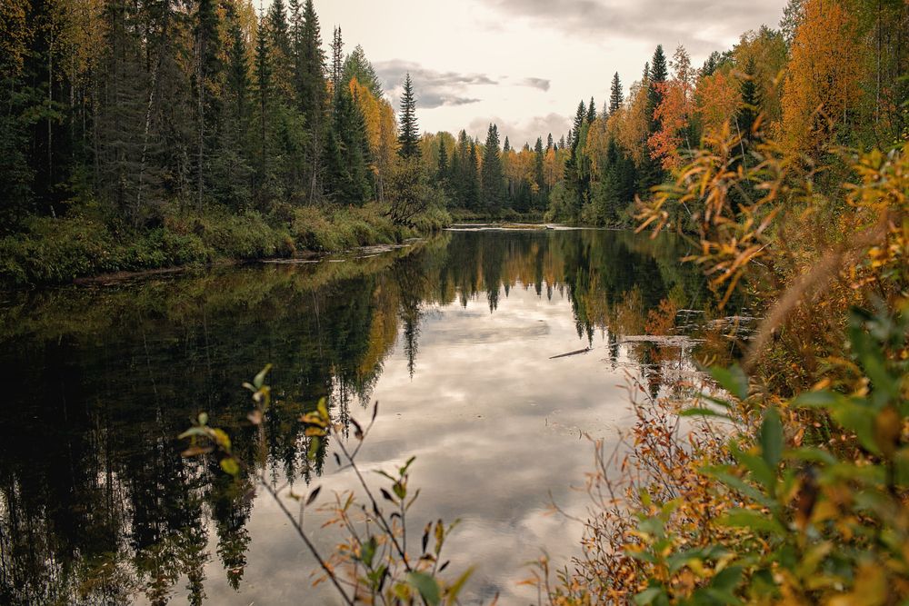 Photograph by Марина Григорьева