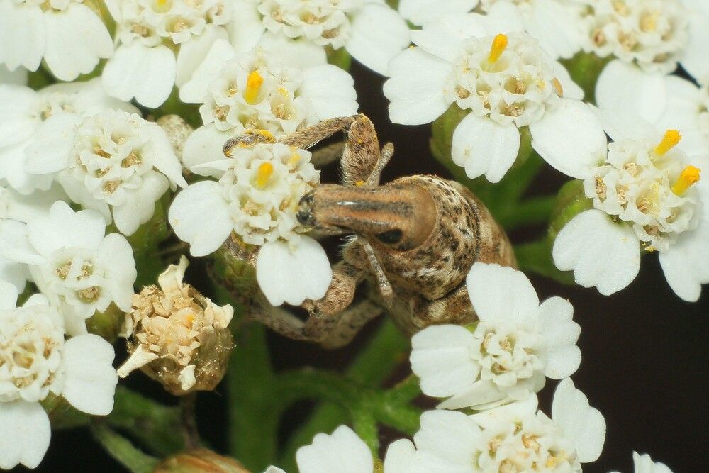 Photograph by Геннадий Титов