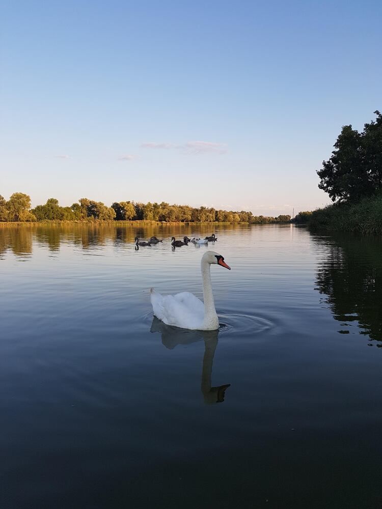 Photograph by Ольга Переходнова