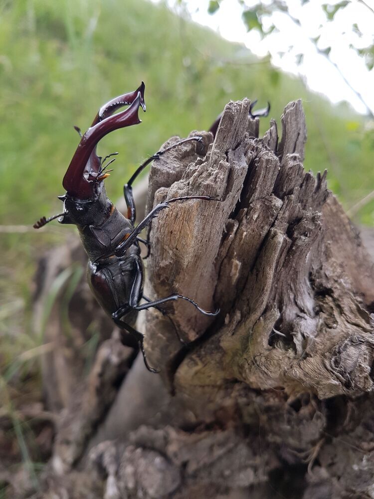 Photograph by Ольга Переходнова