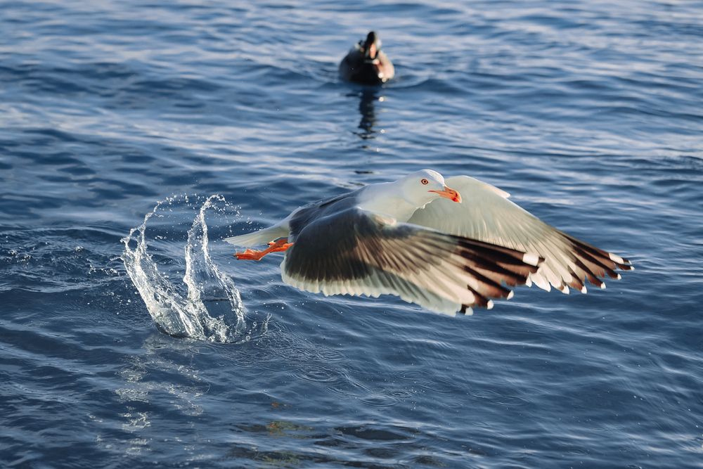 Photograph by Андрей Котенко