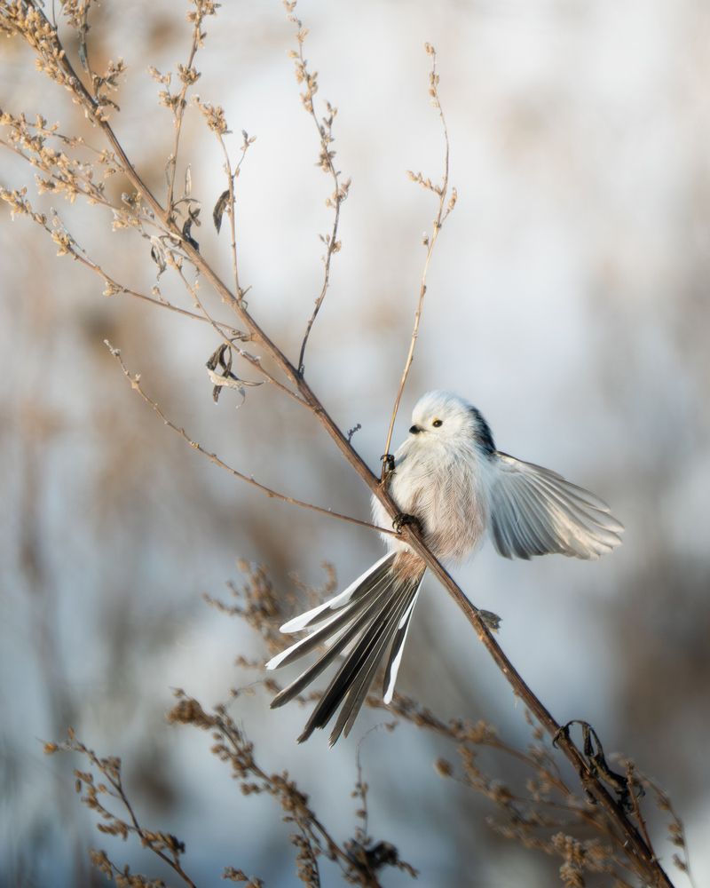 Photograph by Мозжухин Максим