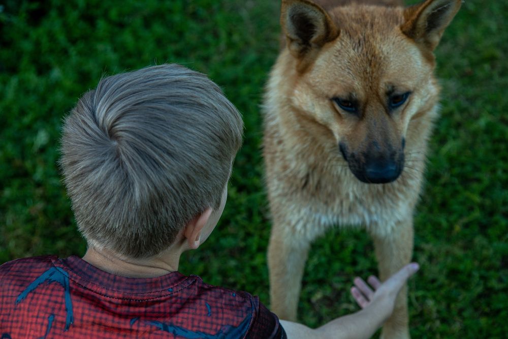 Photograph by Сагдиева Эльвира