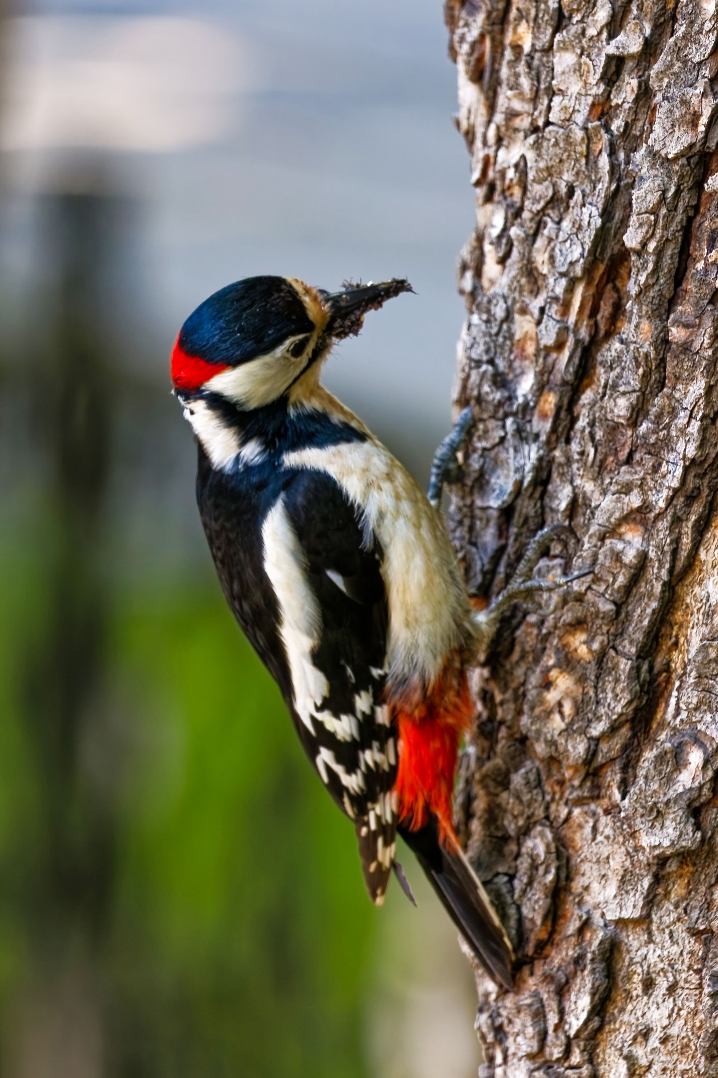 Photograph by Александр Селезнев