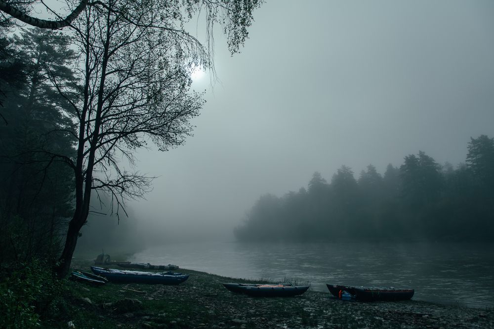 Photograph by Сагдиева Эльвира