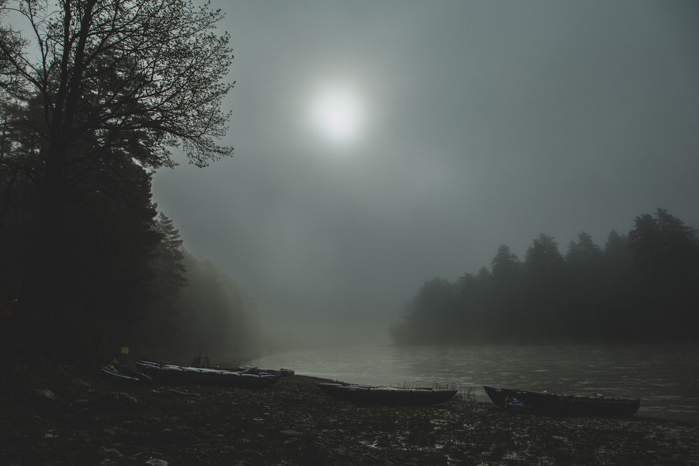 Photograph by Сагдиева Эльвира