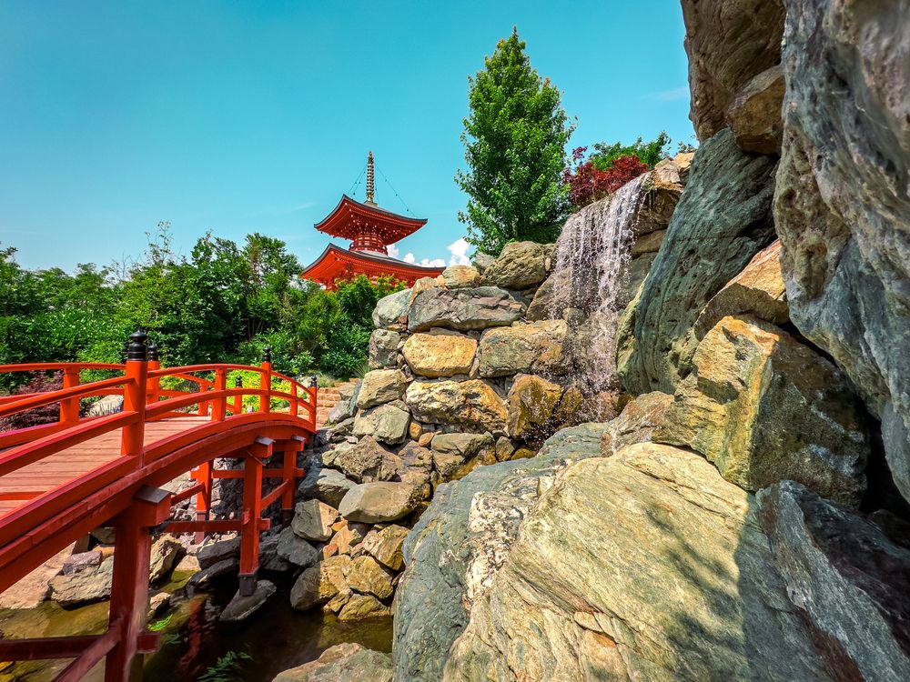 Фотография автора Олег Васильев