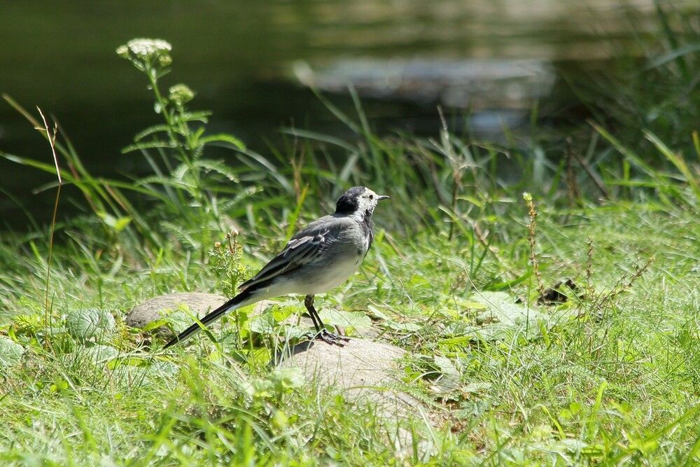 Photograph by Геннадий Титов