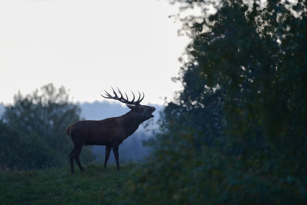Photograph by Дмитрий Федорако