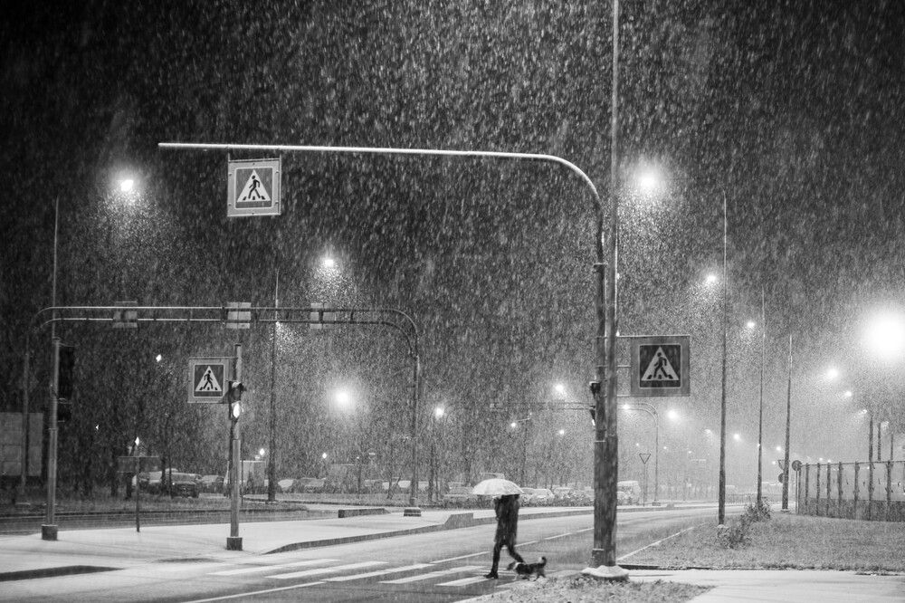 Photograph by Сергей