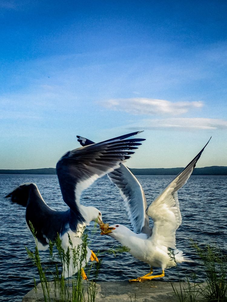 Photograph by Кристина Аносова