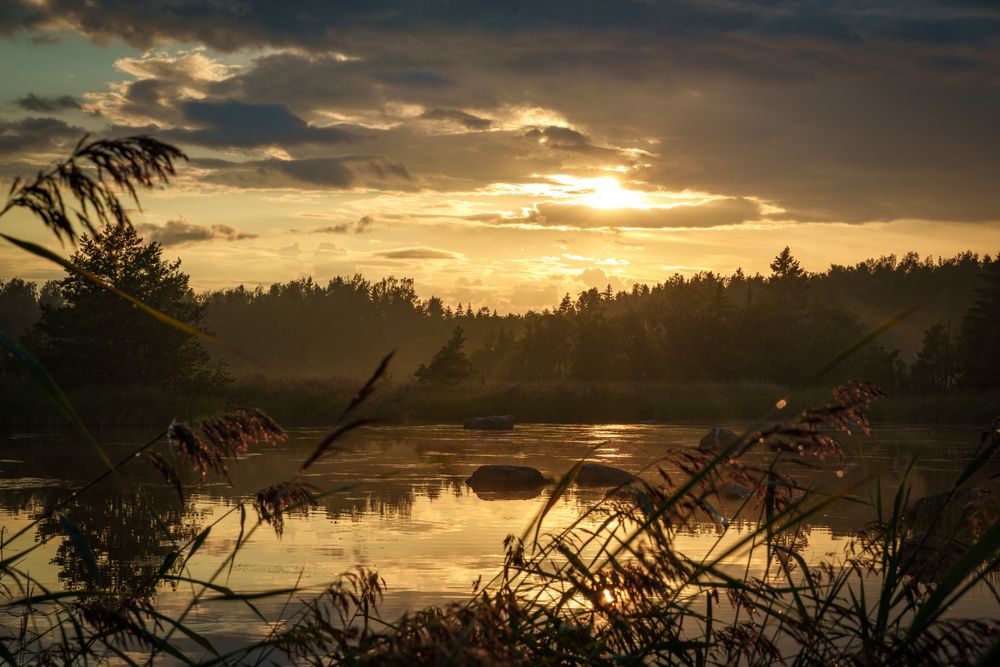 Photograph by Romus Ramström
