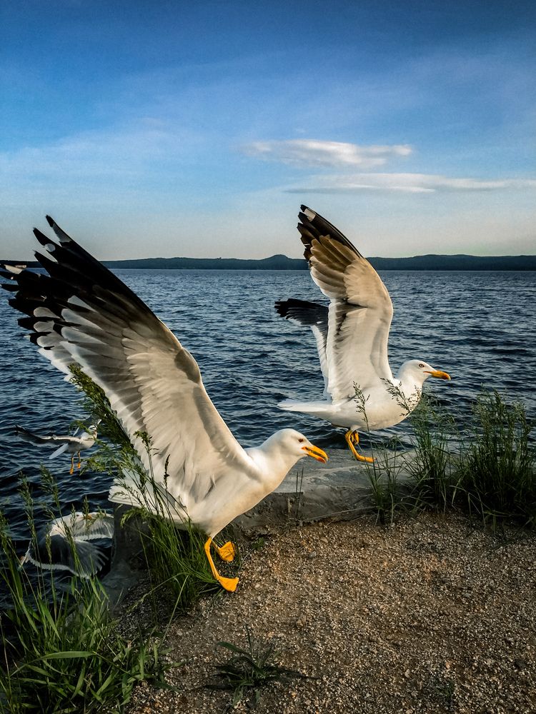 Photograph by Кристина Аносова