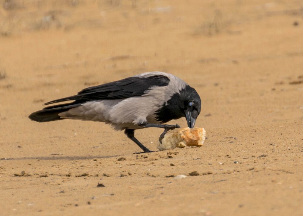 Photograph by Наталья Вялых