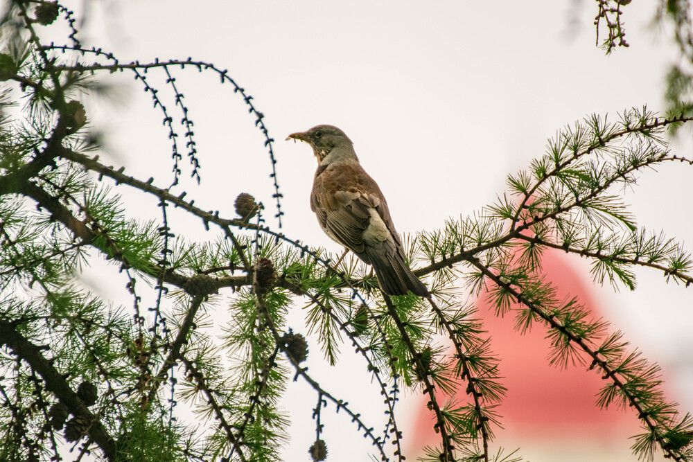 Photograph by Наталья Вялых