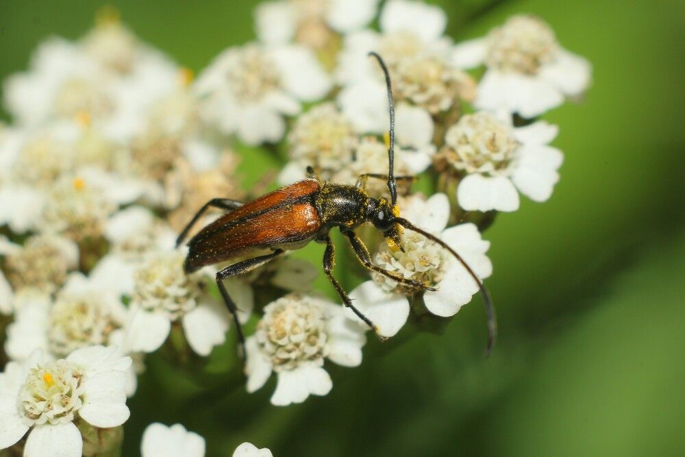 Photograph by Геннадий Титов