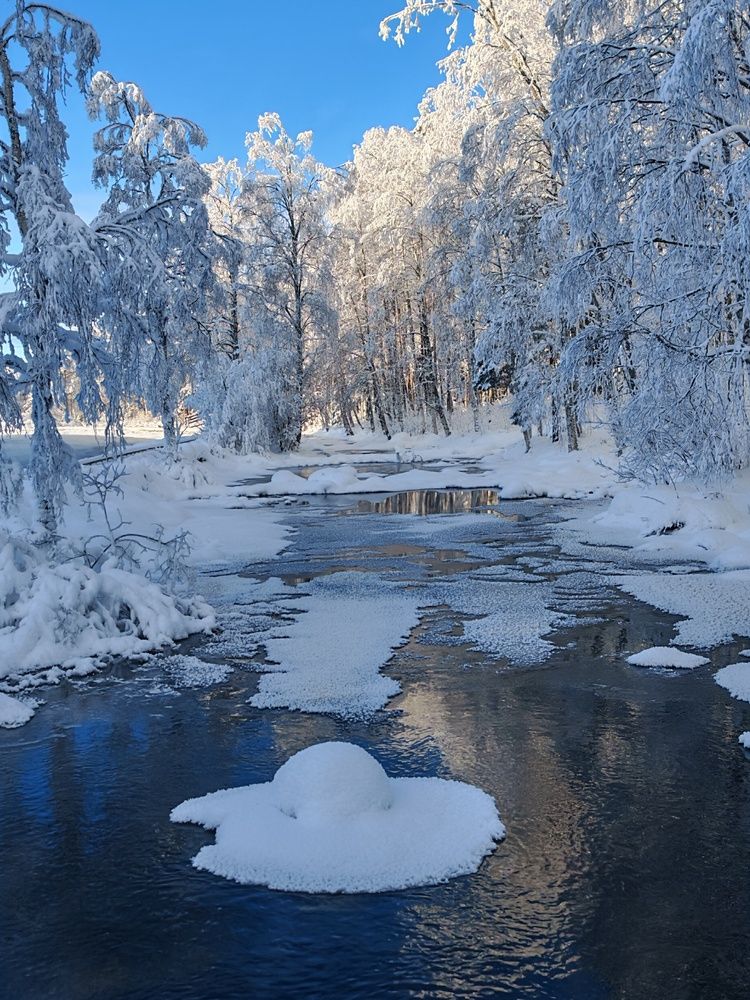 Photograph by OLga Piirainen