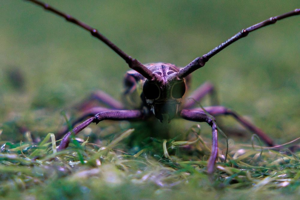 Фотография автора Sharone