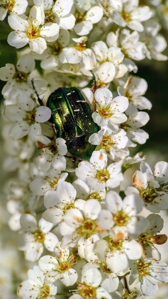 Фотография автора Марина Алексеевская