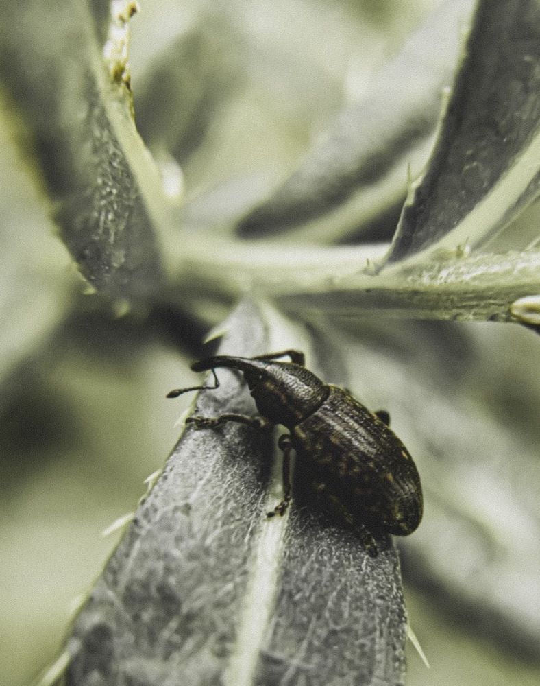 Фотография автора Марина Алексеевская