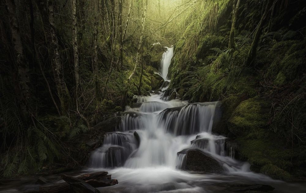 Photograph by Miguel Iglesias