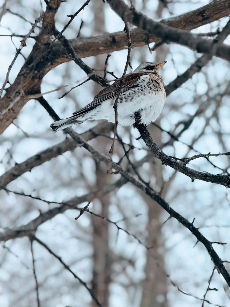 Photograph by Мария Жукова